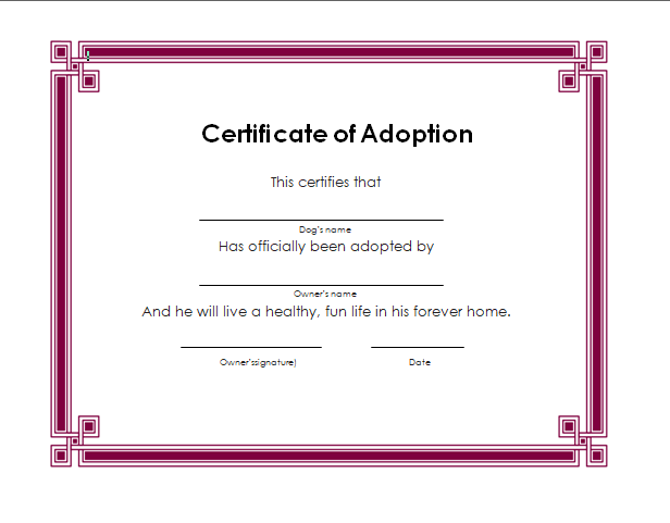 Adoption Certificate template