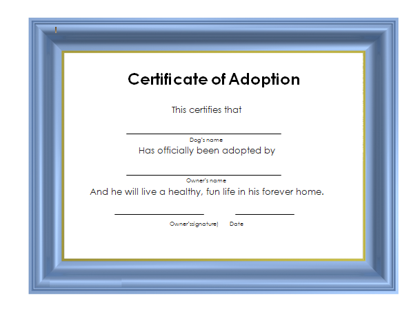 Adoption Certificate template 04