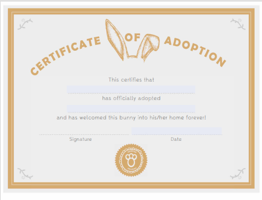 Adoption Certificate template 07
