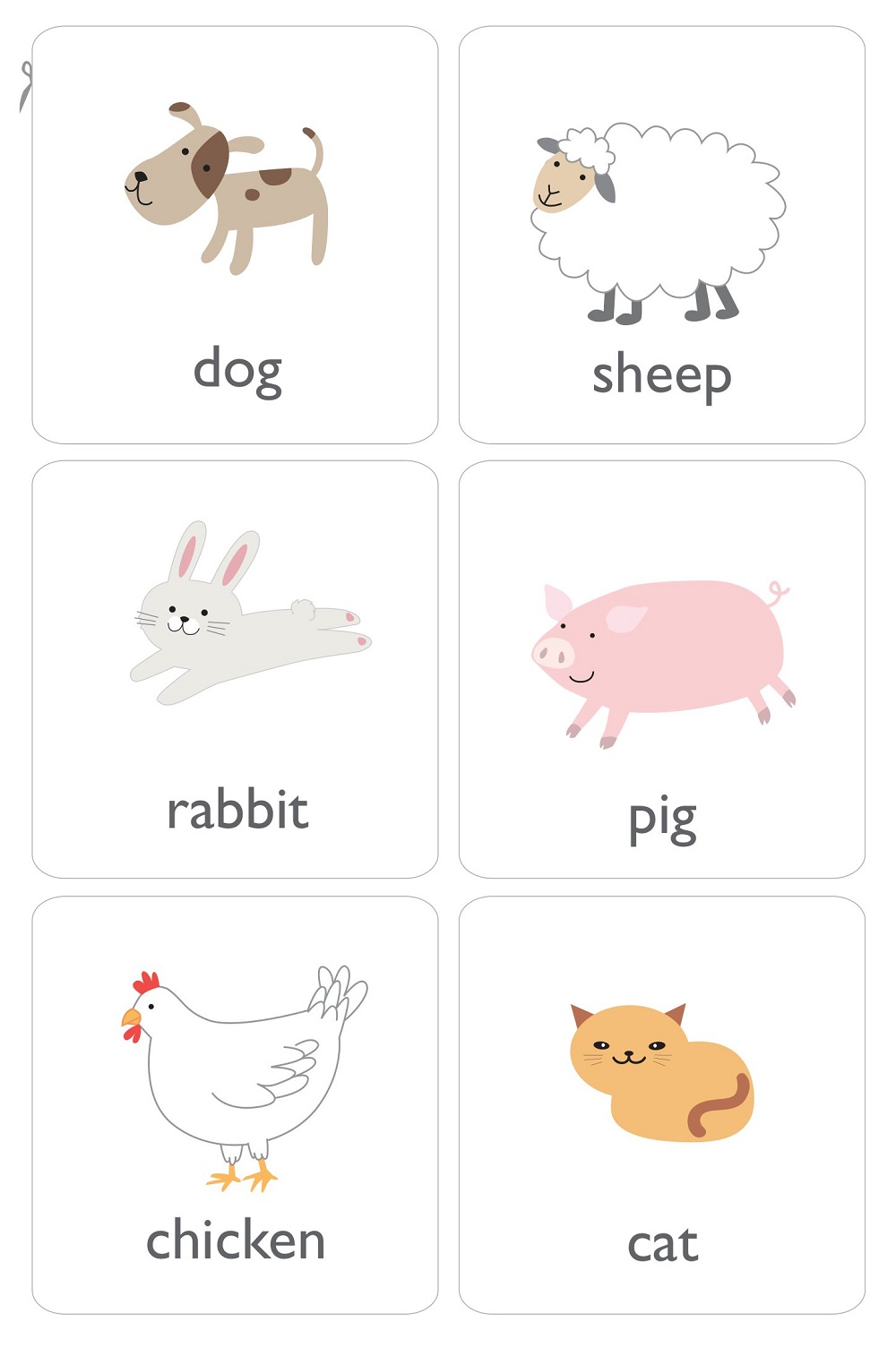 Basic Animal Flashcards