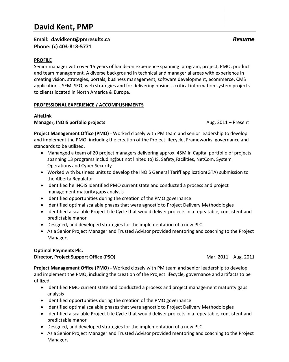 Basic Project Program Manager Resume Template