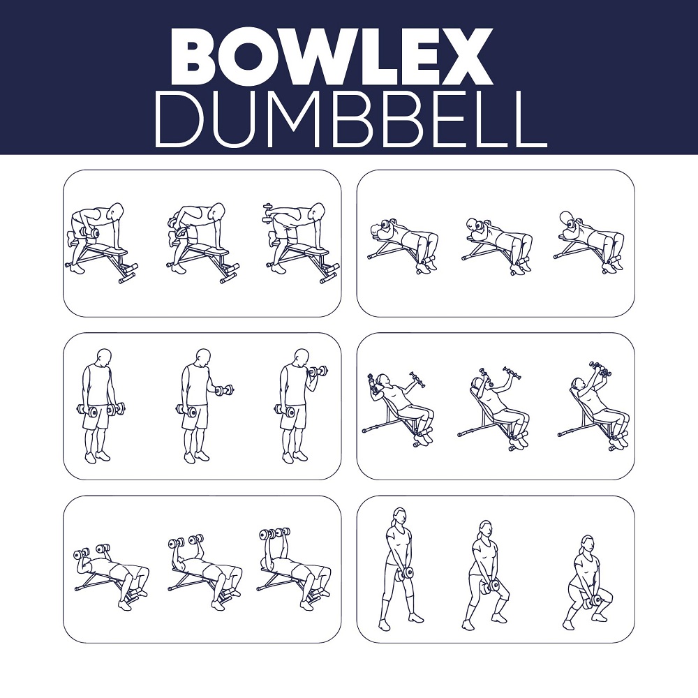Bowflex Dumbbell Workout Chart