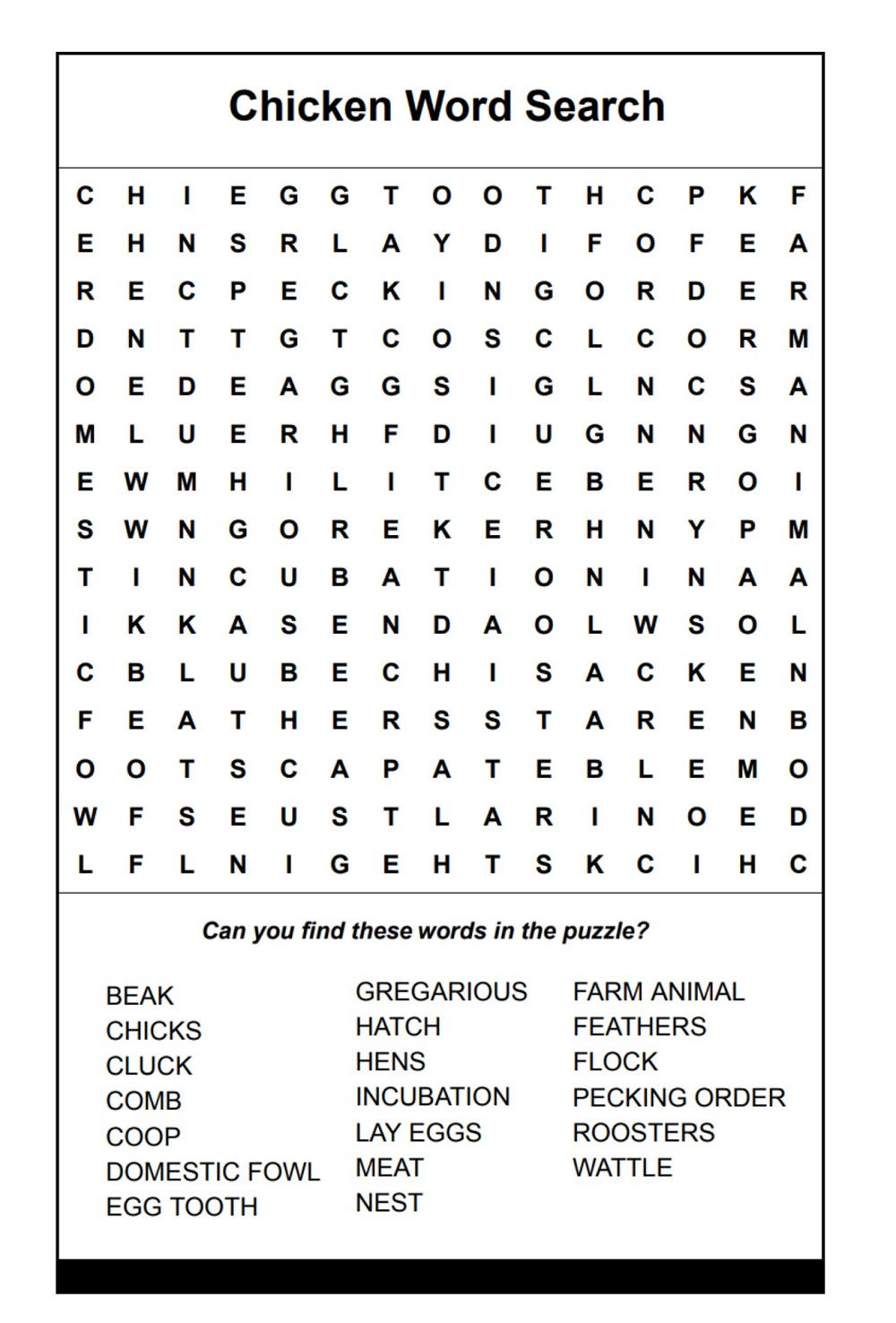 Chicken Words Search Puzzle