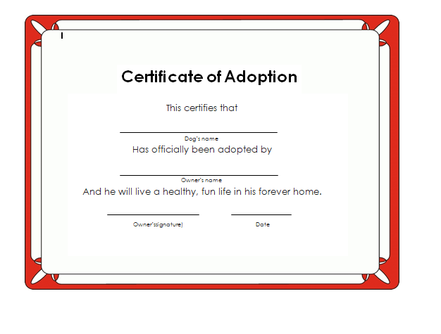 Child Adoption Certificate template 10