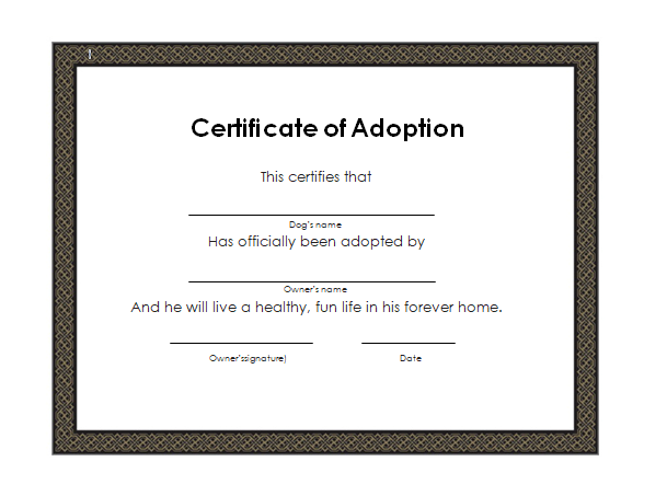 Child Adoption Certificate template 11