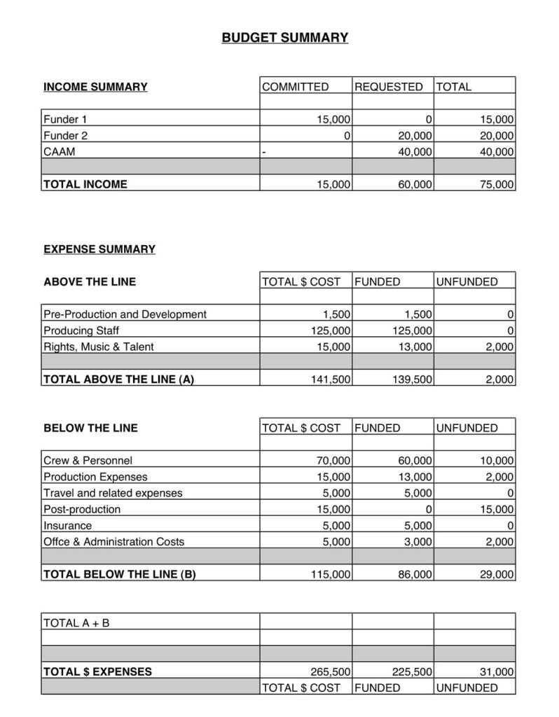 22+ Free Sample Documentary Film Budget Templates (PDF, Word ...