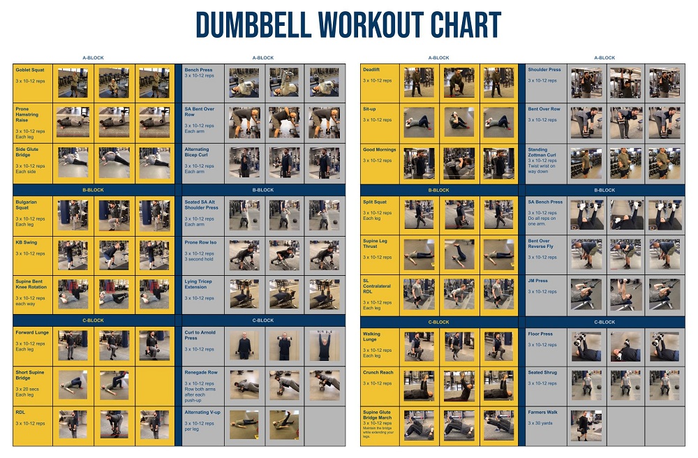 Dumbbell Exercises Chart Template