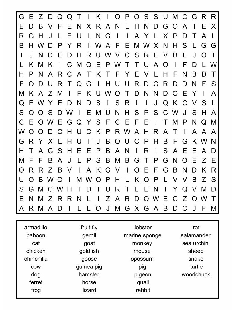 Extra Large Print Word Search Puzzles