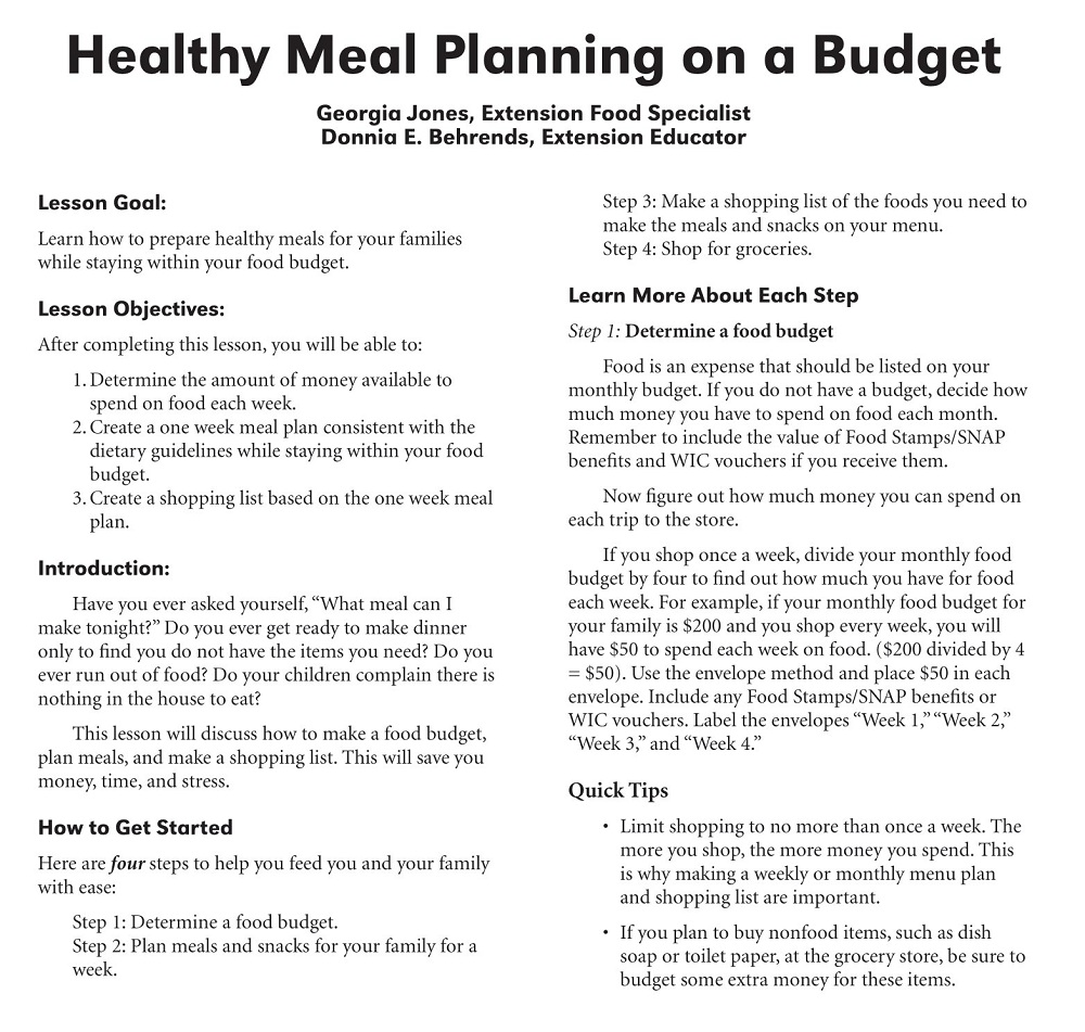 Health Meal Planning Budget Template