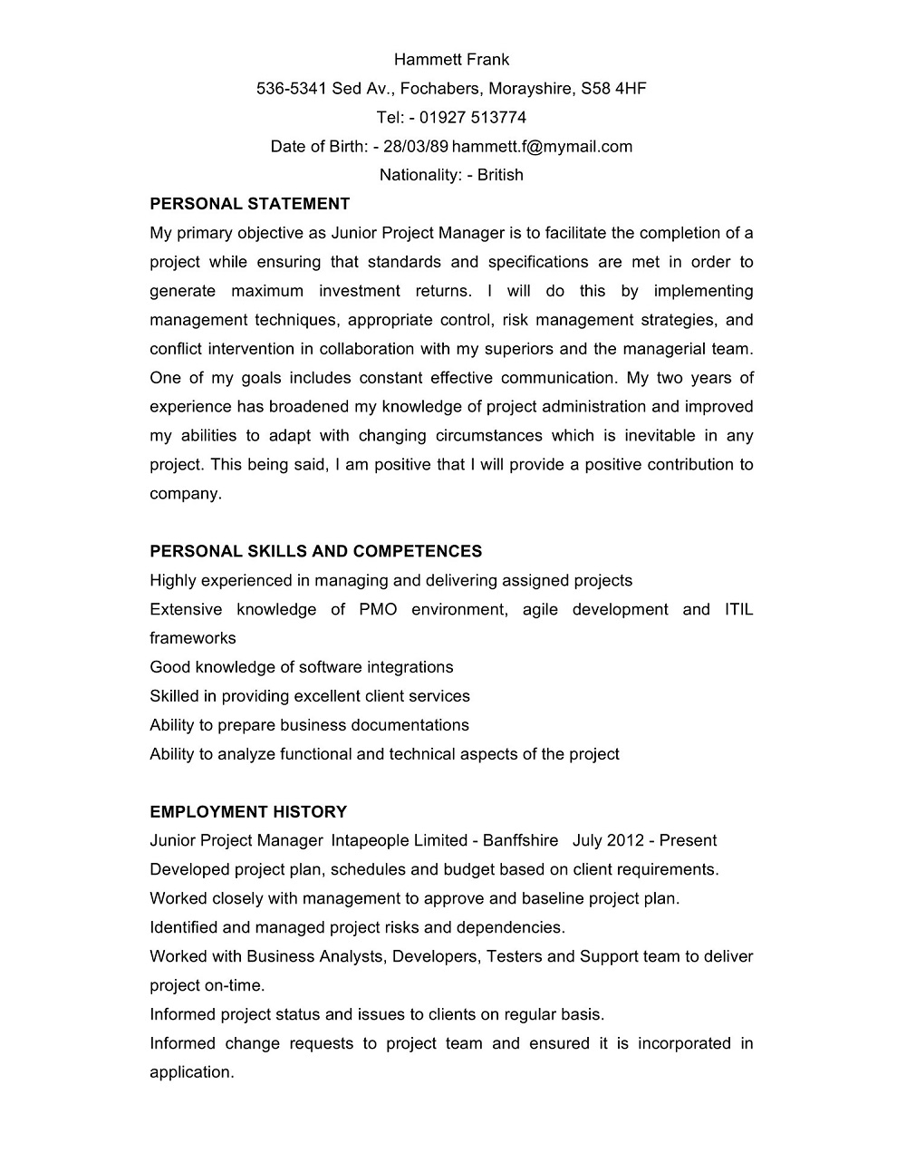 Junior Project Manager Resume Template