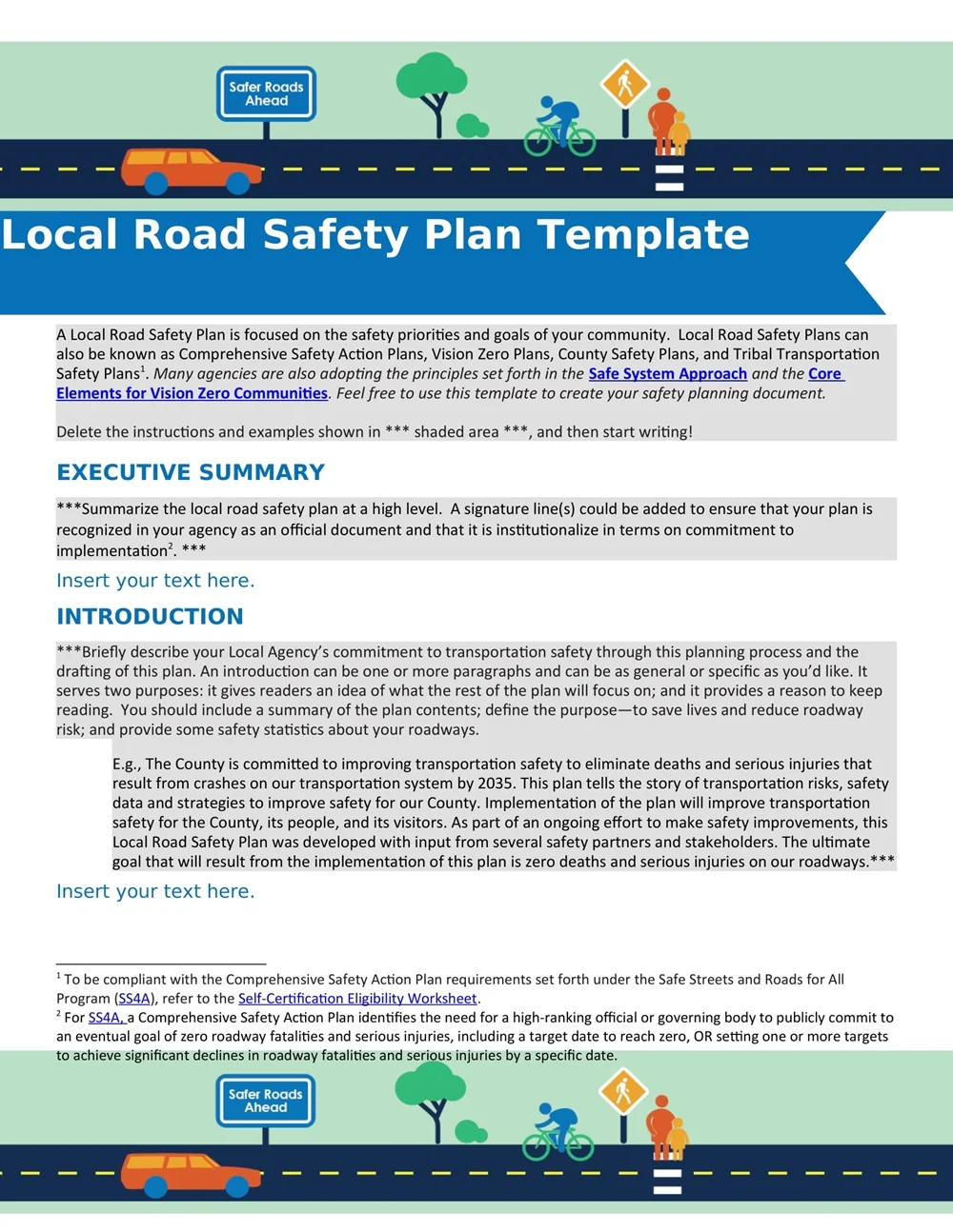 Local Road Safety Plan Template