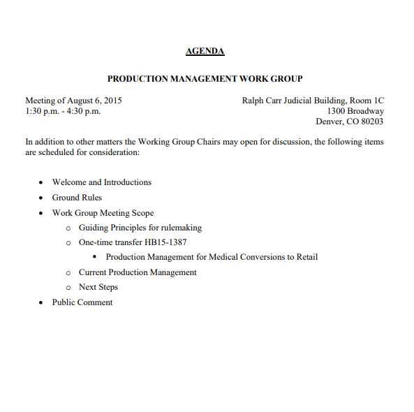 Project management meeting agenda Template 2