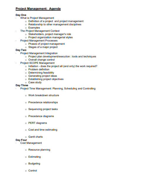 Project management meeting agenda Template 3