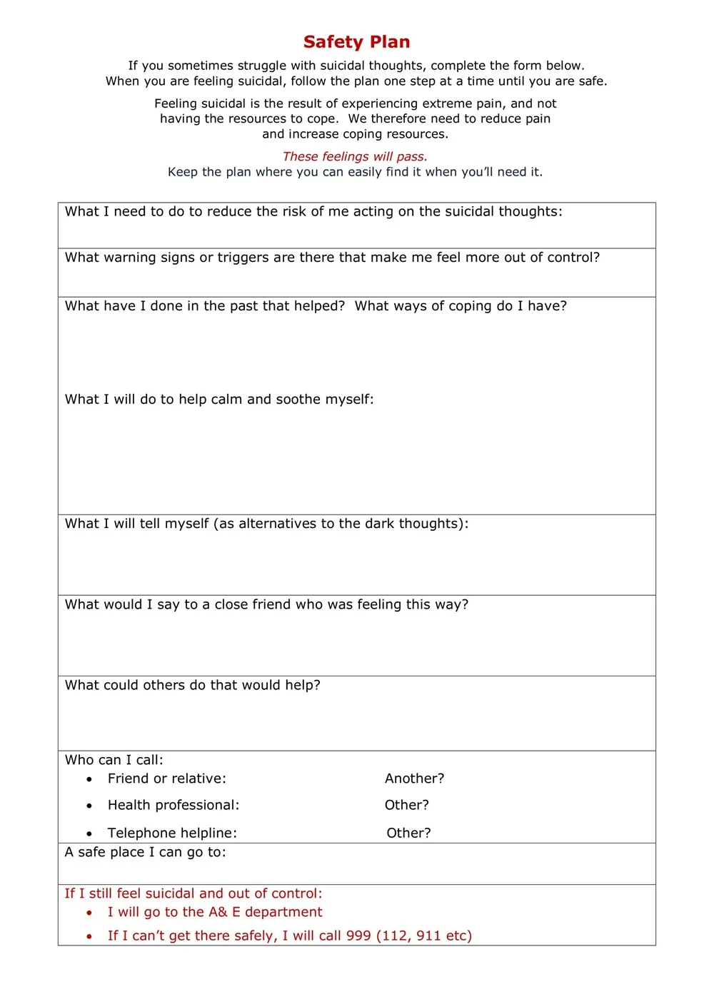 Sample Safety Plan Template