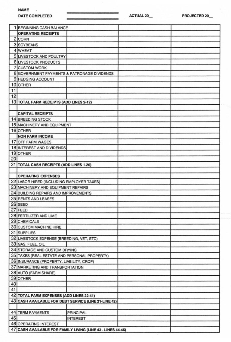 22+ Free Simple Farm Cash Flow Budget Templates - PDF, MS Excel ...