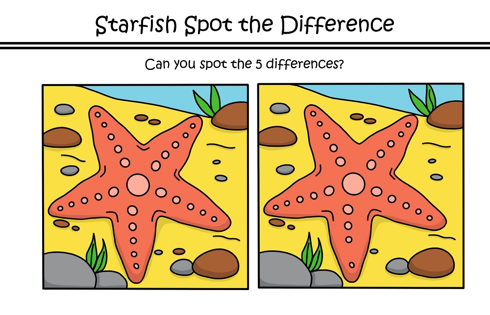 Starfish Spot The Difference Puzzle Worksheet