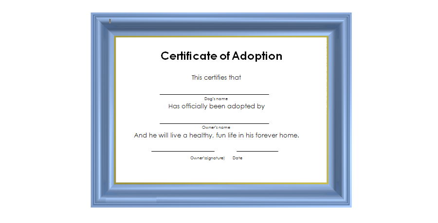 Adoption Certificate Template  04