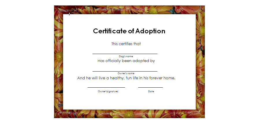 Adoption Certificate Template 06
