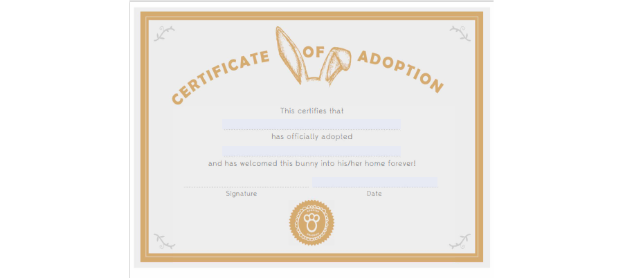 Adoption Certificate Template 07