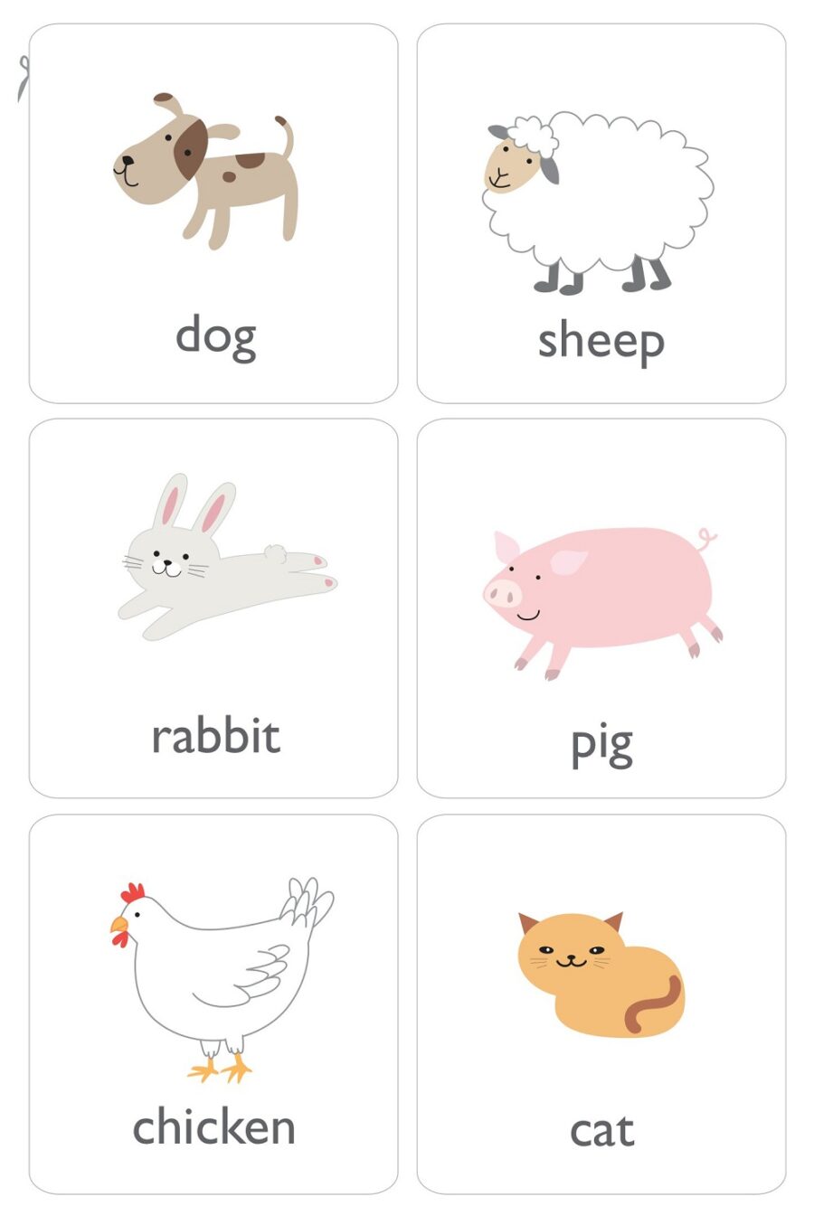 Basic Animal Flashcards