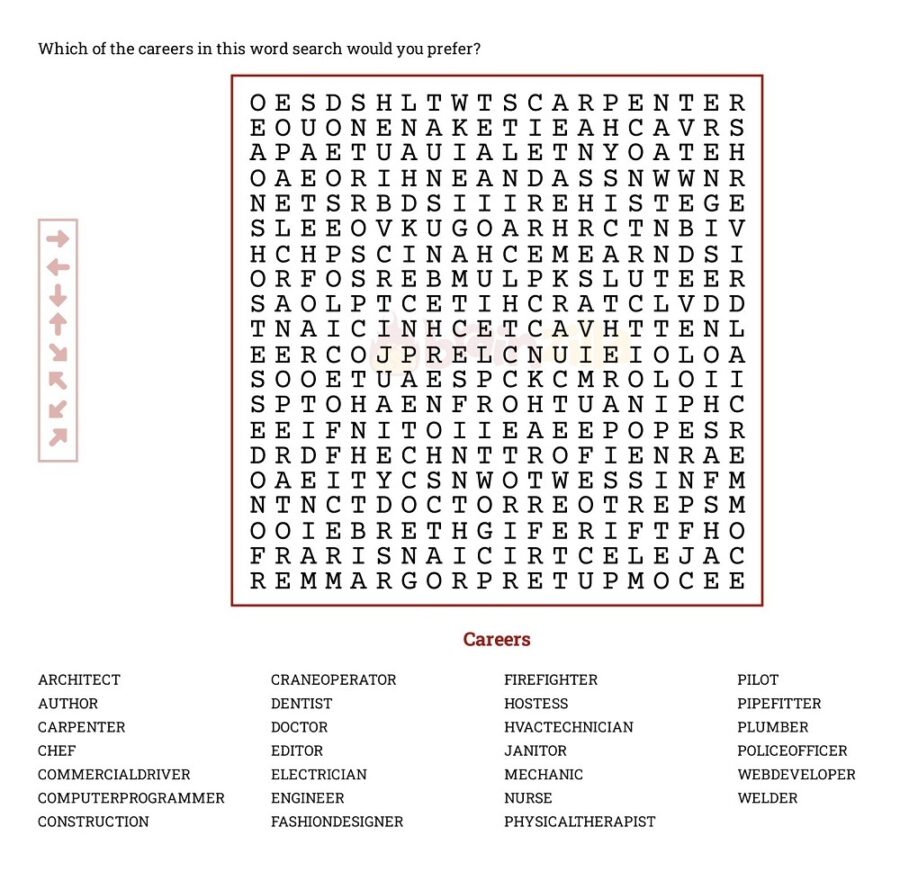 Careers Word Search Puzzle