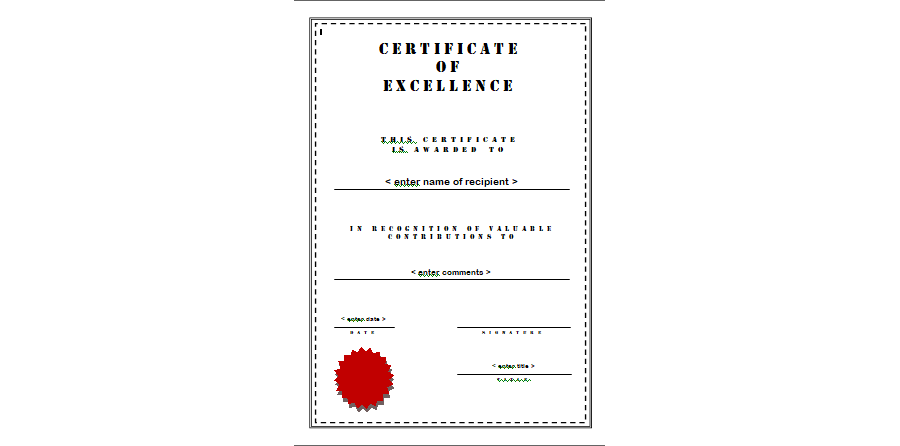 Certificate of Excellence 13