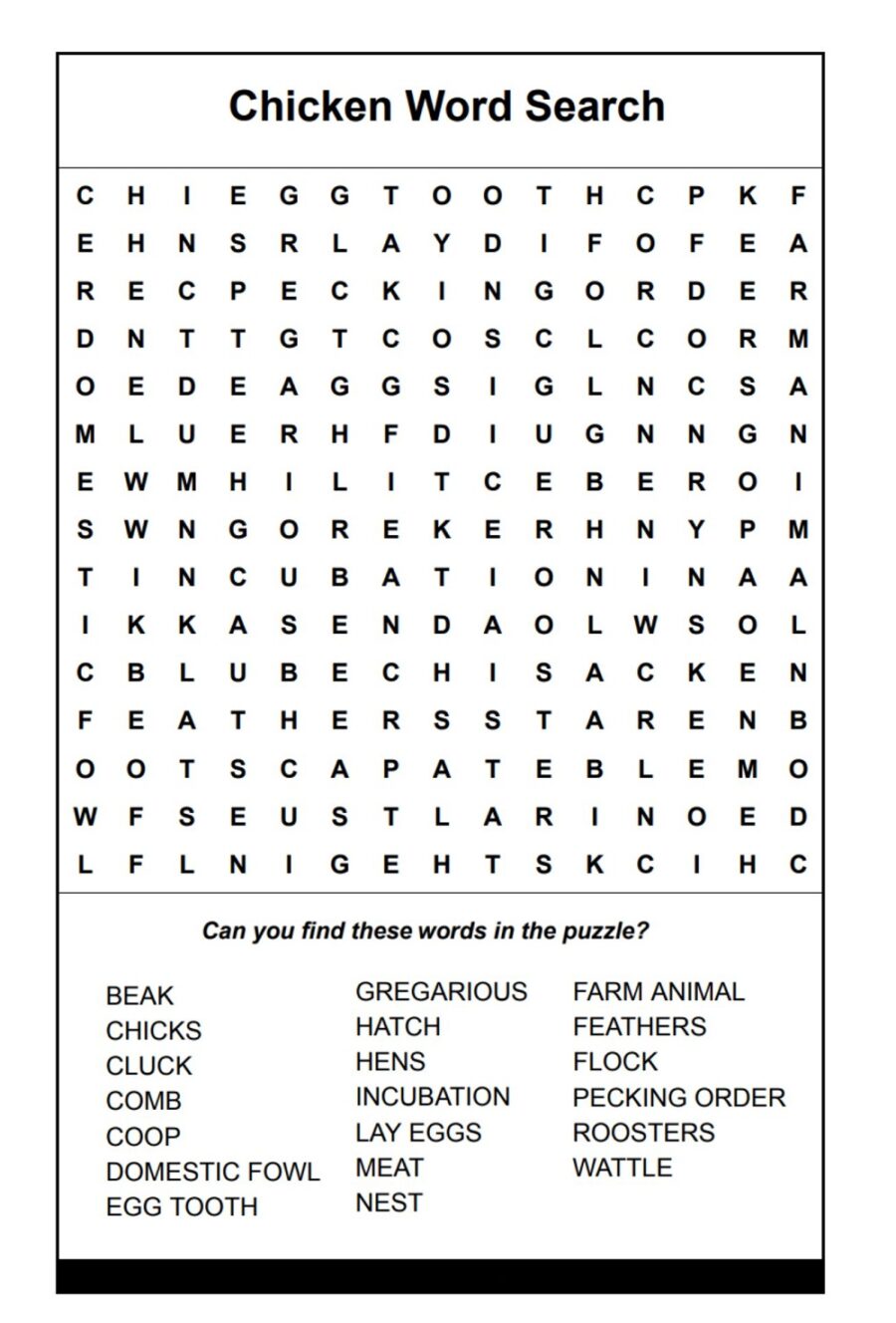 Chicken Words Search Puzzle