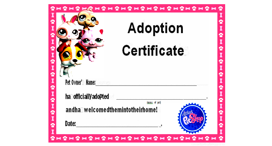 Child Adoption Certificate Template 08
