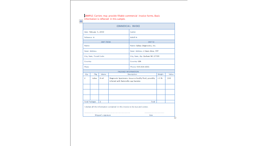 Commercial Invoice Template 03