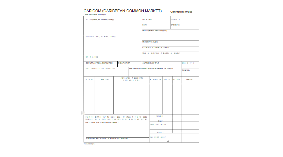 Commercial Invoice Template 11