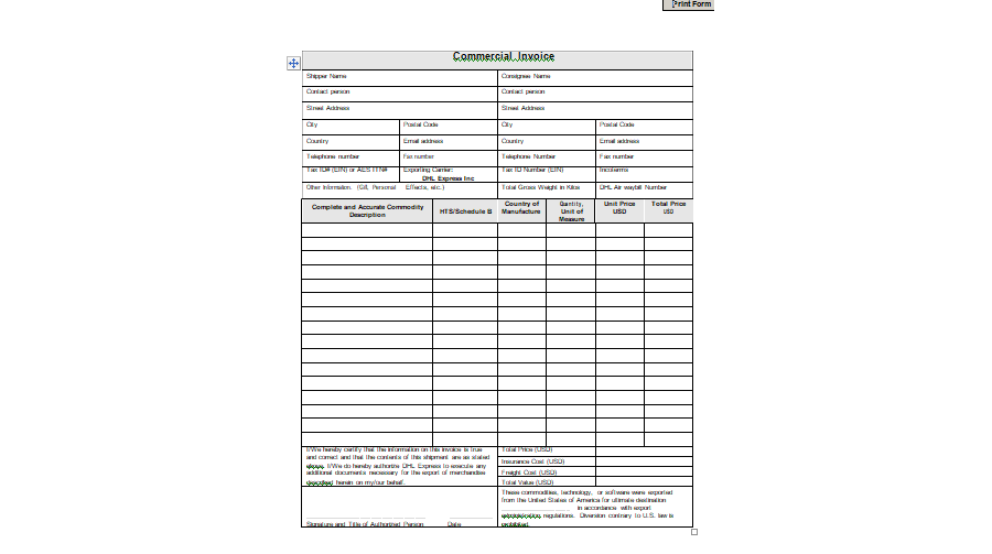 Commercial Invoice Template 13