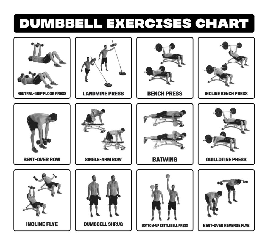 Dumbbell Exercises Chart PDF