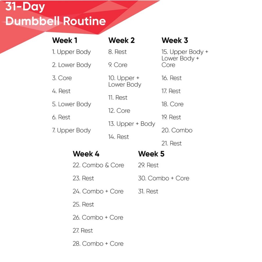 Dumbbell Workout Routine Chart