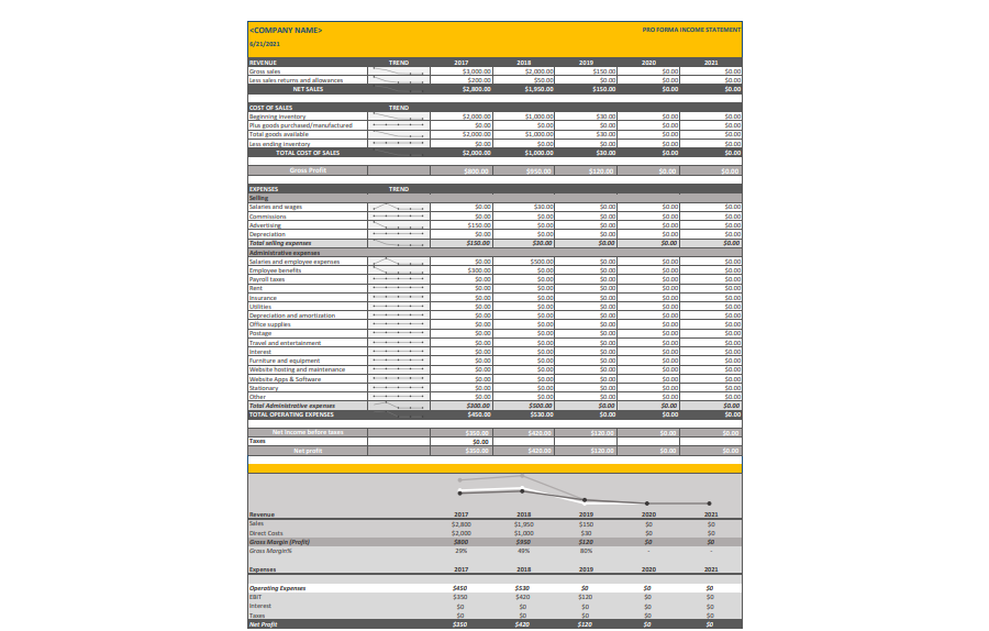 Pro forma Income Statement Template