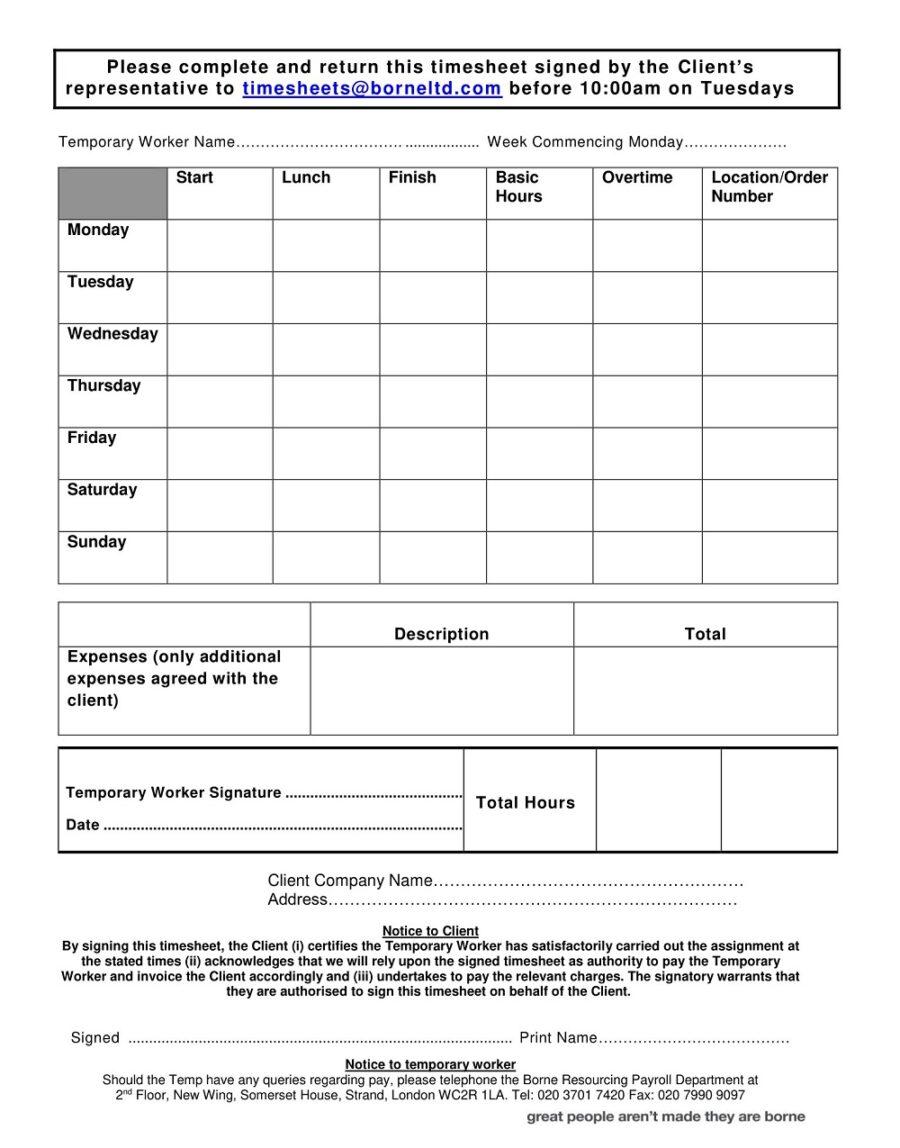 Professional Construction Timesheet Template