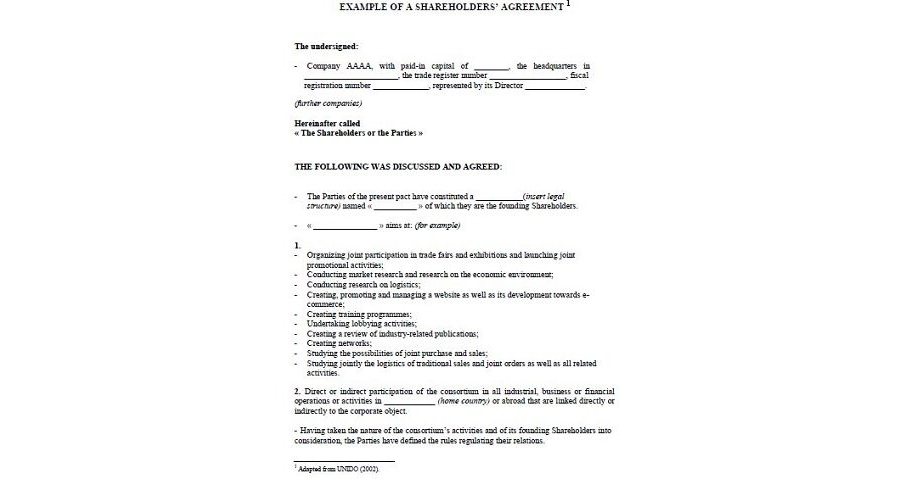 Example of a Shareholder Agreement
